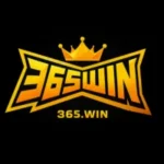 365WIN logo with a golden crown on top, displayed on a black background.