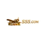 Logo of S55.com featuring a golden airplane with stacks of coins.