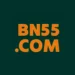 BN55.COM logo in bold orange text on a dark green background.