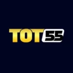 TOT55 Game logo in gold and white on a dark blue background.